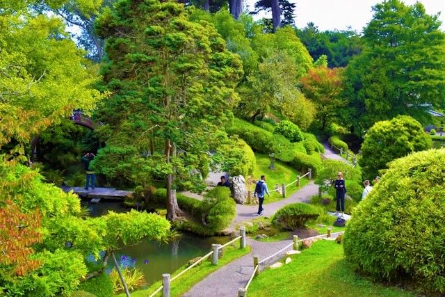 Golden Gate Park