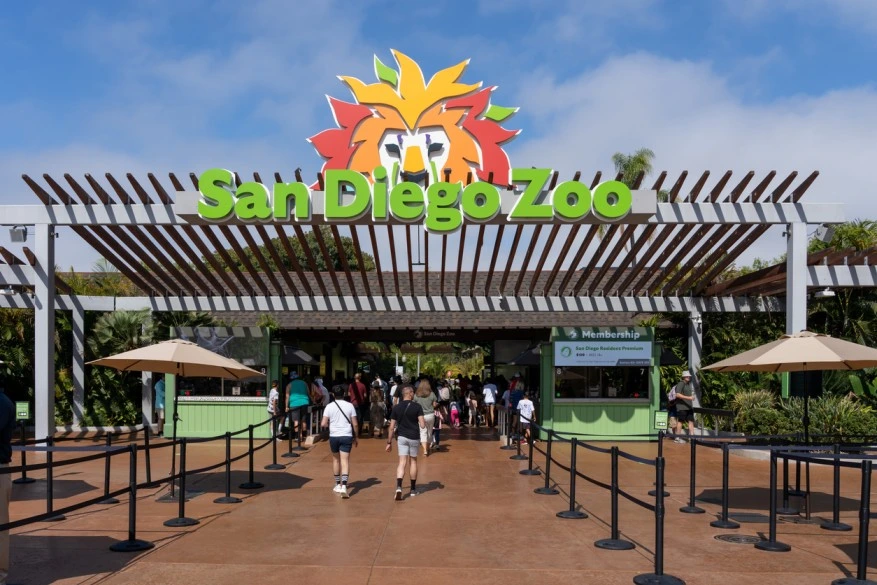 Entren till San Diego Zoo