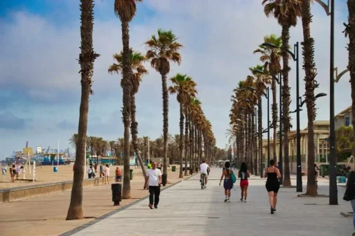Strandpromenaden i Vlencia, läs om tips till matmarknader i Valencia